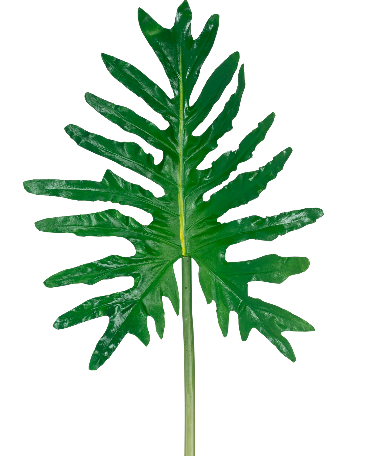 Le Philodendron à feuilles artificielles de 90 cm possède une grande feuille fendue verte avec des lobes profonds et une longue tige, sur un fond blanc uni.