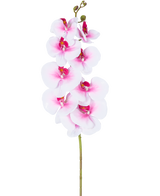 L'orchidée artificielle Real Touch Deluxe 105 cm rose/blanc possède une seule tige de phalaenopsis artificielle rose avec des accents blancs, des fleurs et des bourgeons en soie réalistes, le tout élégamment présenté sur un fond blanc.
