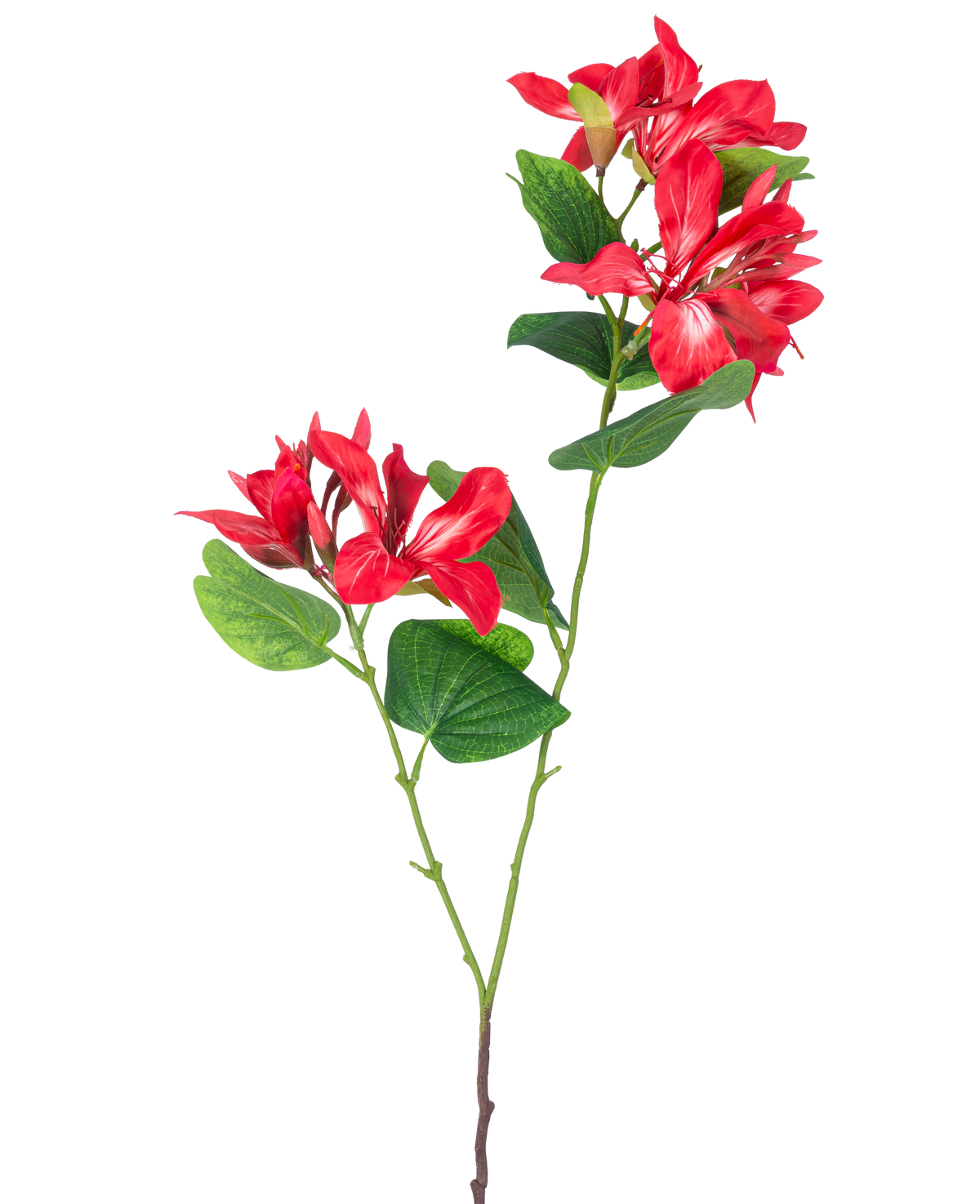 La Fleur Artificielle Rhododendron 85 cm rouge clair est une tige artificielle avec des feuilles vertes et deux bouquets de fleurs rouge clair et blanches sur fond blanc.