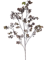 La Branche Artificielle Baie d'Eucalyptus 110 cm marron possède une branche haute avec plusieurs tiges fines, de petites feuilles rondes et des grappes de baies vert-brun sur un fond uni blanc.