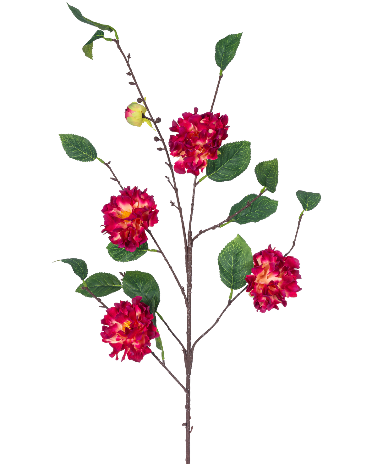 La Fleur Artificielle Camélia Japonais 95 cm Rouge Vin a une branche brune avec des feuilles vertes, des bouquets de fleurs rouge vin et jaune vif et un petit bourgeon fermé, le tout sur un fond blanc.