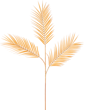 La Fougère Branche Artificielle 100 cm ocre possède une seule tige de feuille de palmier séchée avec trois branches, chacune décorée de feuilles étroites et pointues brun doré sur un fond blanc uni.