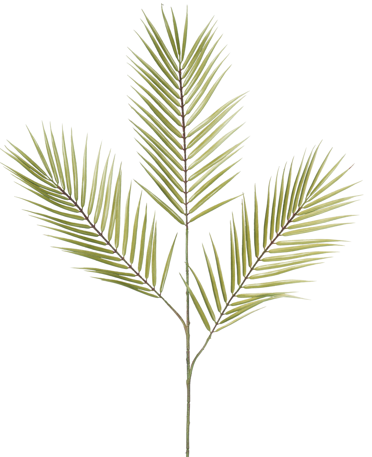 La Fougère Branche Artificielle 100 cm verte possède une seule branche de fougère artificielle verte avec cinq feuilles longues, étroites et épineuses dépassant d'une tige centrale, sur un fond blanc.