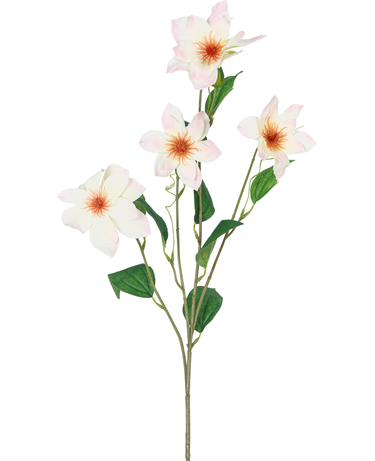 La Clématite artificielle Real Touch Rose/crème 88 cm a une seule tige verte avec quatre fleurs rose clair épanouies avec un centre jaune-orange doux et plusieurs feuilles vertes, toutes isolées sur un fond blanc.