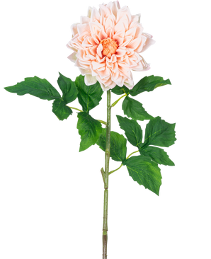 Le Kunst Georgine Real Touch Light Pink 70 cm a un seul dahlia rose clair avec des pétales superposés et un cœur jaune sur une longue tige verte avec plusieurs grandes feuilles vertes dentelées.