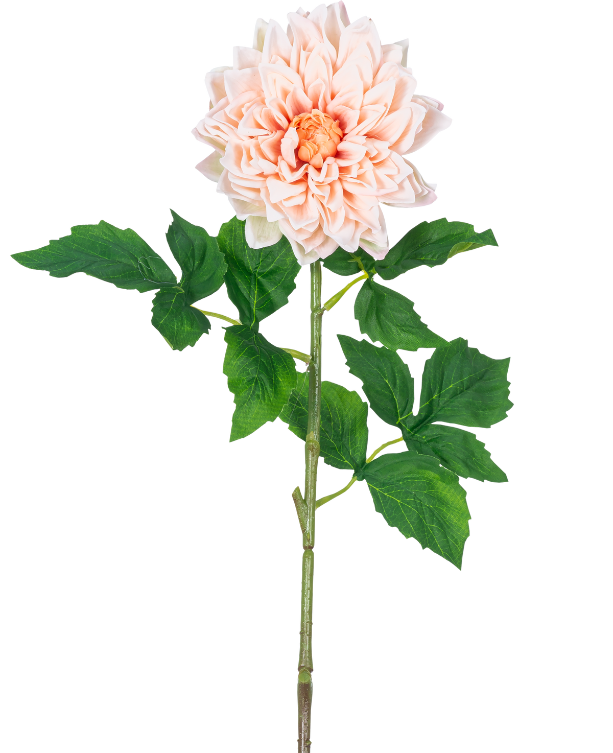 Le Kunst Georgine Real Touch Light Pink 70 cm a un seul dahlia rose clair avec des pétales superposés et un cœur jaune sur une longue tige verte avec plusieurs grandes feuilles vertes dentelées.