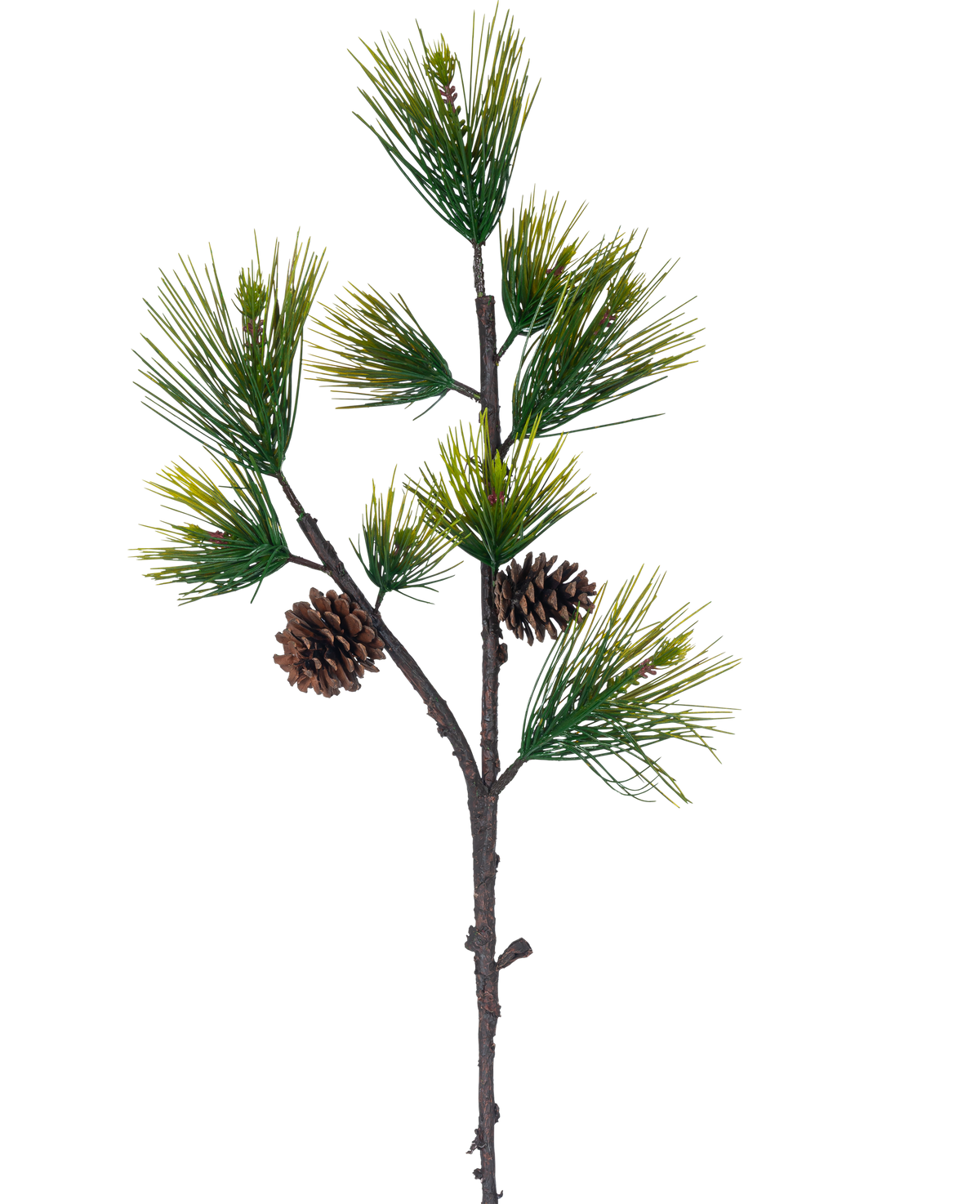 La Branche Artificielle Pin Noir 100 cm vert possède de longues et fines aiguilles de pin vert et deux pommes de pin marron sur un fond blanc uni.