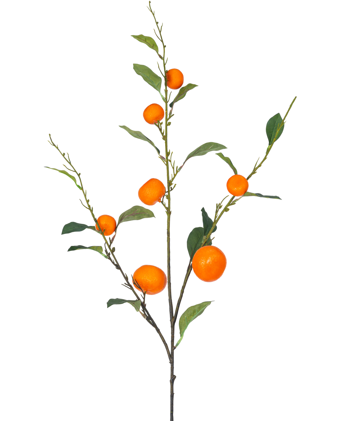 Une branche de mandarine artificielle de 93 cm orange avec des feuilles vertes et un certain nombre de mandarines oranges mûres est représentée sur un fond blanc uni.
