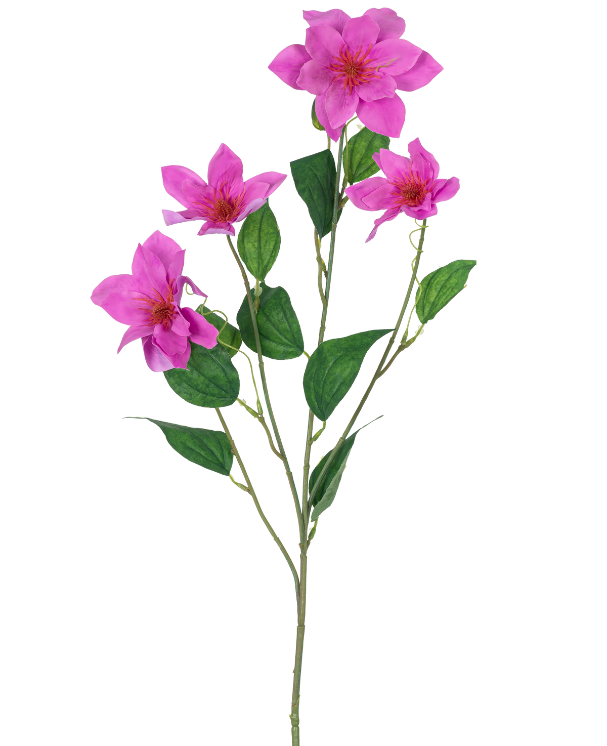 La Clématite Artificielle Real Touch Rose 88 cm présente une seule tige verte avec plusieurs branches, cinq fleurs roses vibrantes et plusieurs feuilles vertes ovales, toutes magnifiquement détaillées et isolées sur un fond blanc.