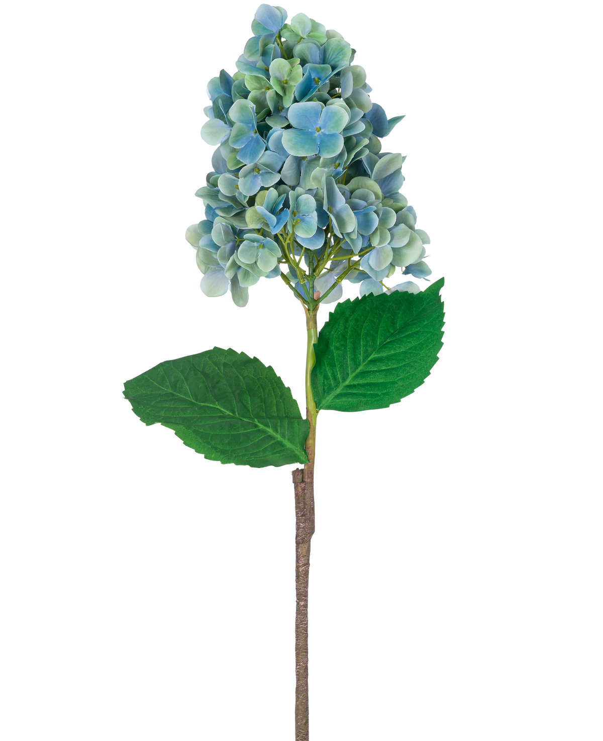 Une seule tige d'hortensia artificiel de 93 cm bleu avec des fleurs d'hortensia bleues et vertes avec des feuilles vertes luxuriantes, isolées sur un fond blanc.