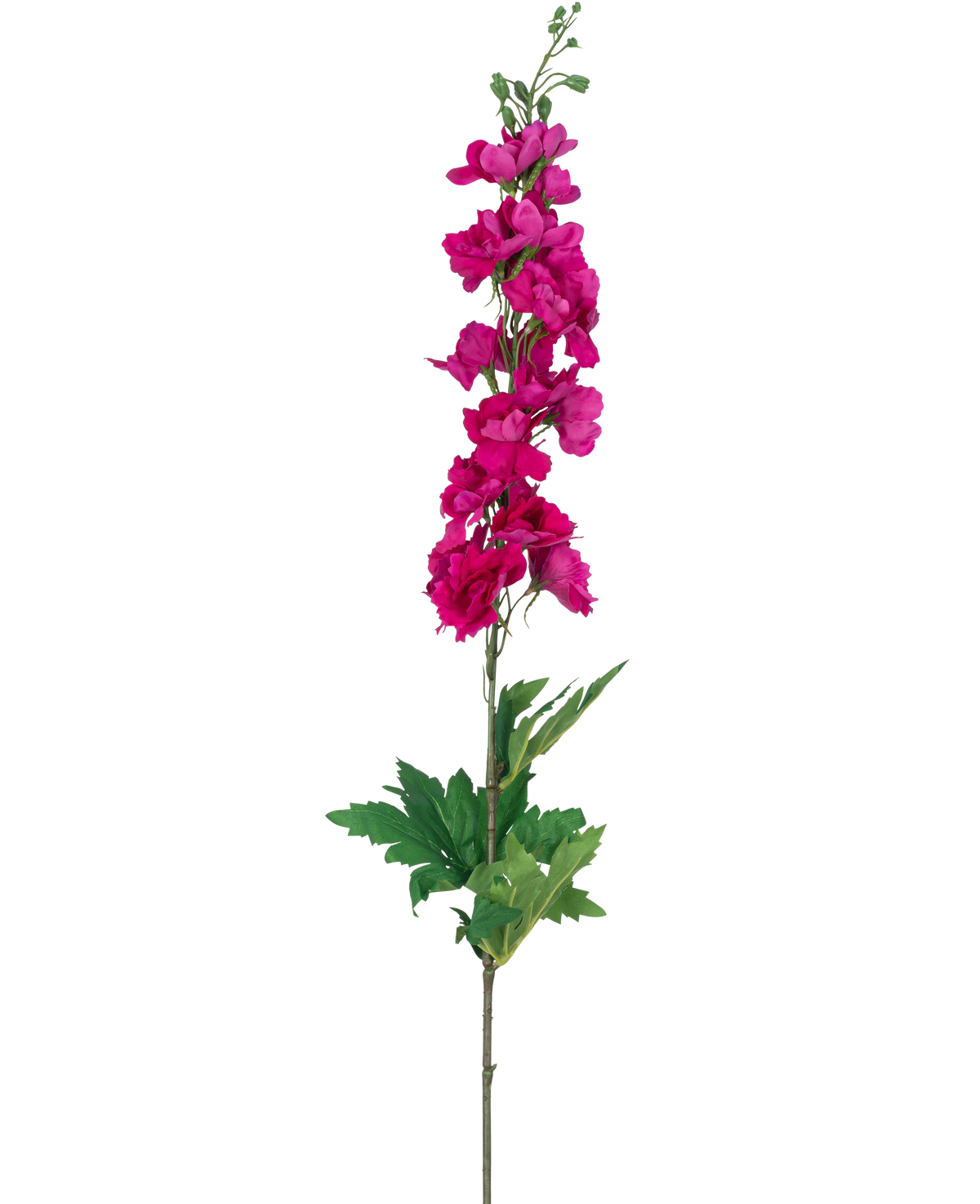 Une seule fleur artificielle Larkspur Real Touch rose, de 90 cm de haut avec plusieurs fleurs roses le long de la tige supérieure et des feuilles vertes à la base, représentée sur un fond blanc.