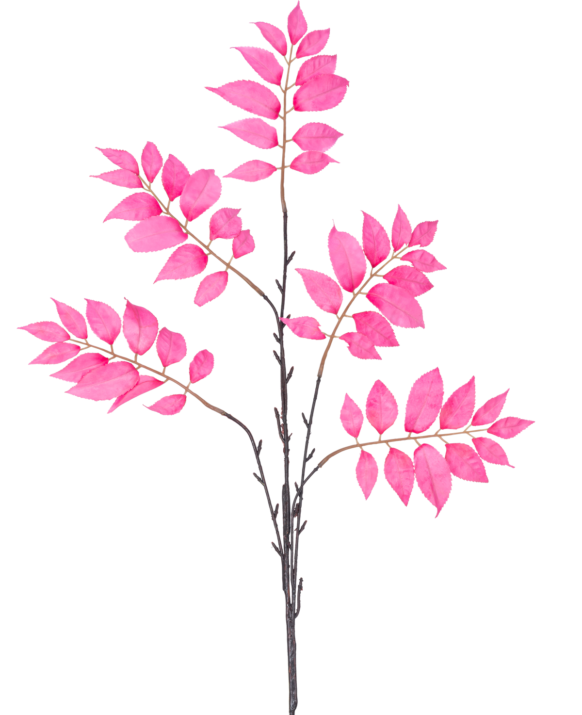 La Fougère Branche Artificielle ramifiée 83 cm rose possède une seule tige brun foncé qui se ramifie en plusieurs tiges plus petites, chacune décorée de grappes de feuilles rose vif sur fond blanc.