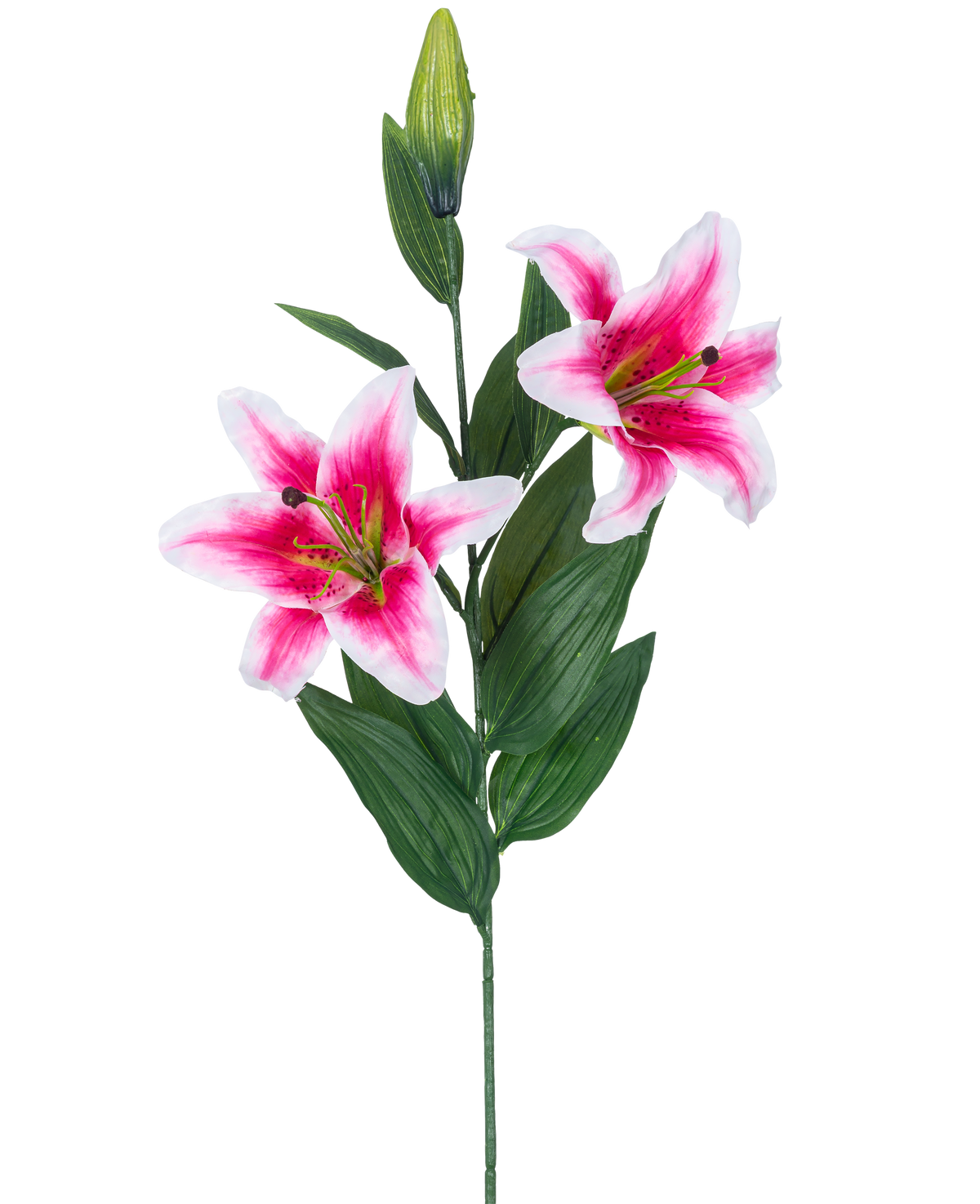 La fleur de lys artificielle rose 85 cm a deux lys roses et blancs en fleurs, un bouton fermé et un certain nombre de longues feuilles vertes, magnifiques sur un fond blanc.