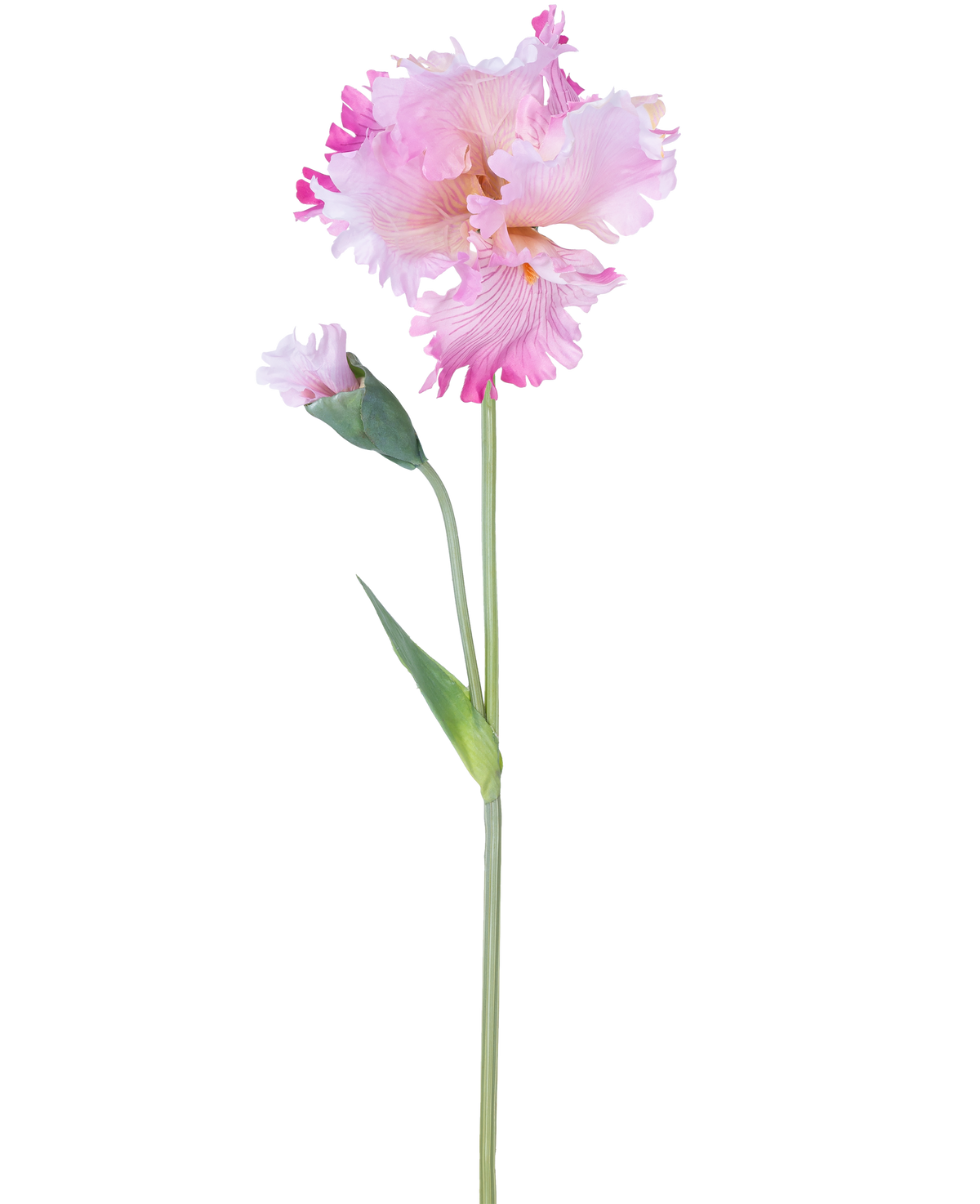 La Fleur Artificielle Iris 80 cm rose possède une seule tige d'iris rose avec des volants dans les pétales et un bouton fermé, sur un fond blanc uni.