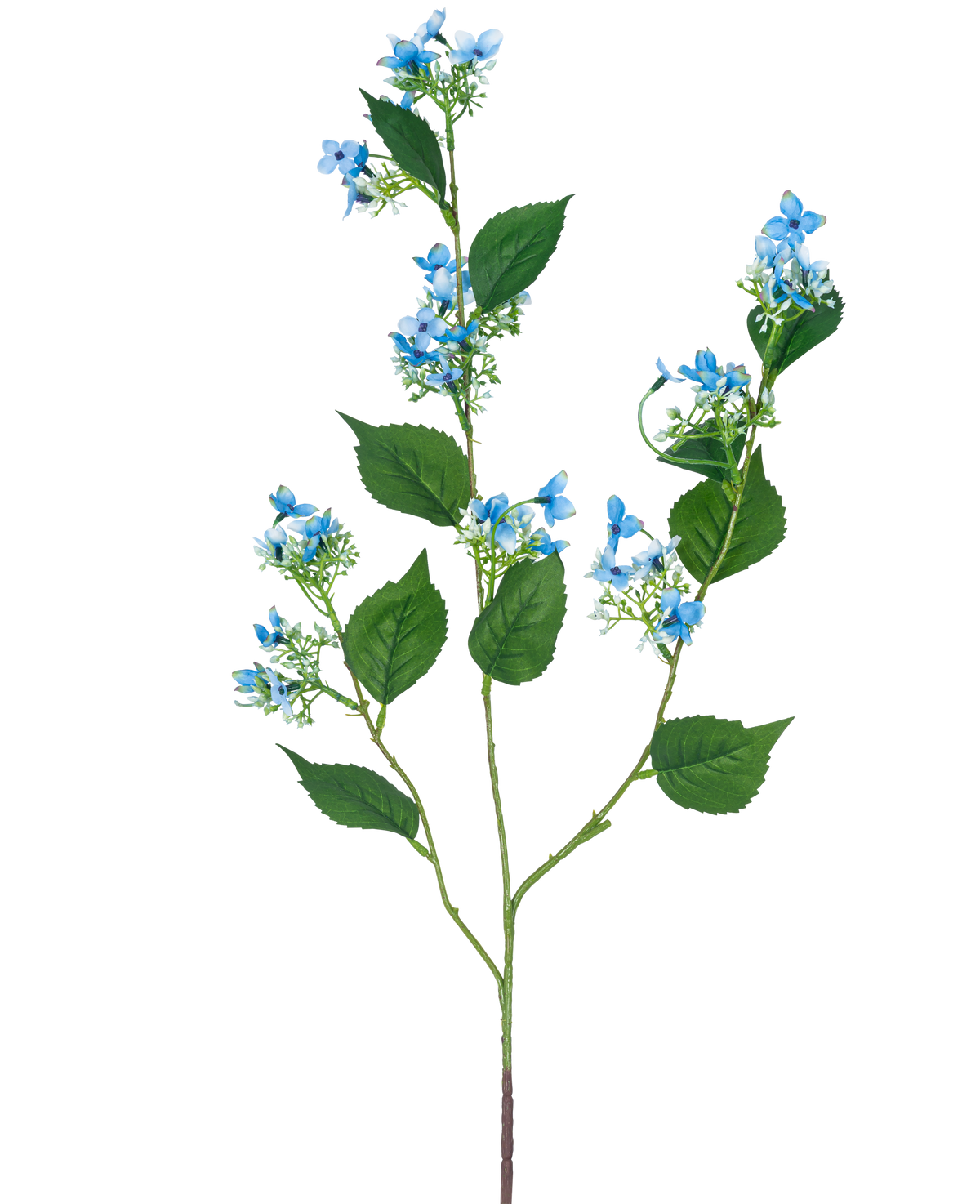 La fleur artificielle Hortensia sauvage 93 cm bleu a une seule tige artificielle avec de multiples branches, des feuilles vertes et des bouquets de petites fleurs délicates bleu clair.