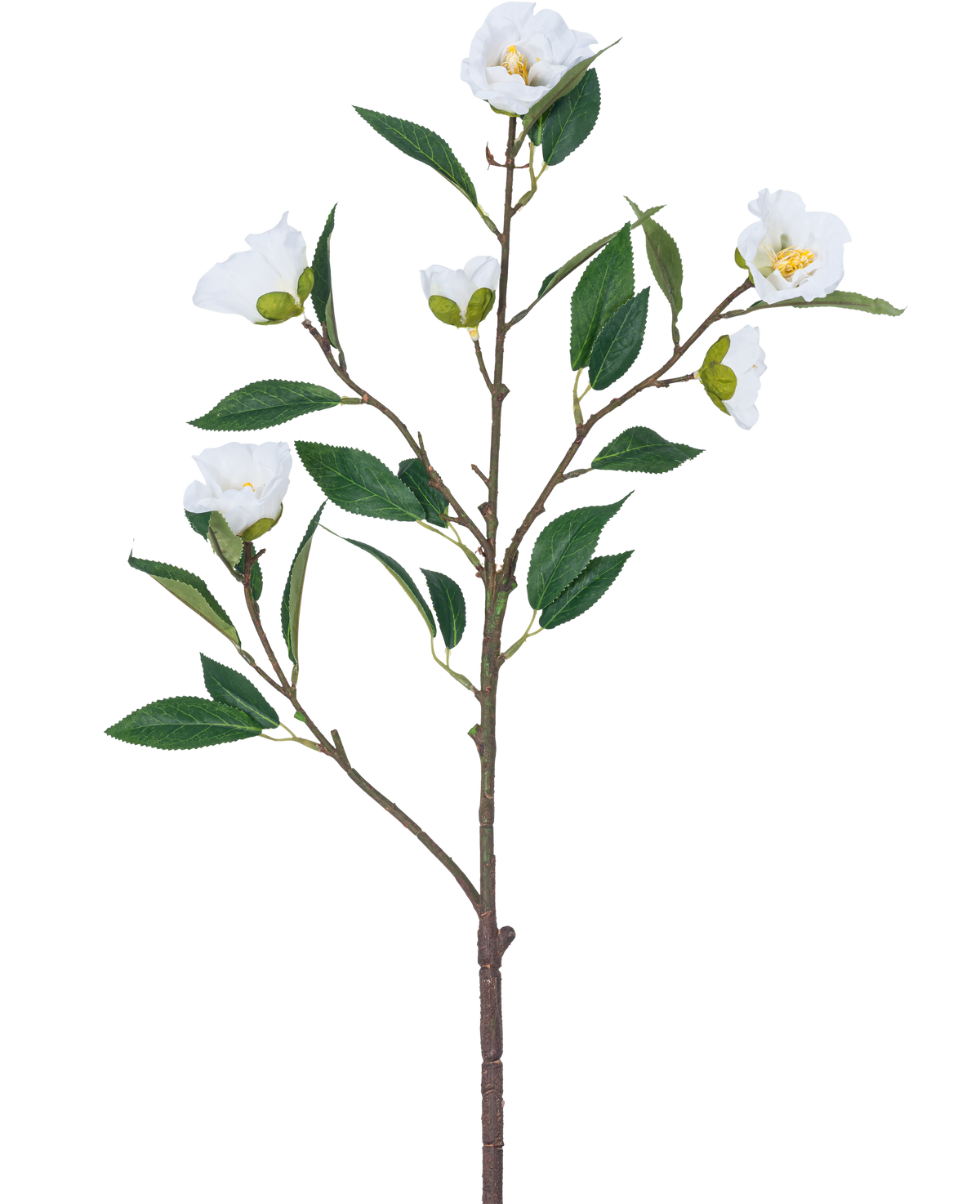 La Fleur Artificielle Camélia 80 cm blanche possède une seule branche avec plusieurs feuilles vertes et plusieurs fleurs blanches épanouies sur un fond blanc uni.