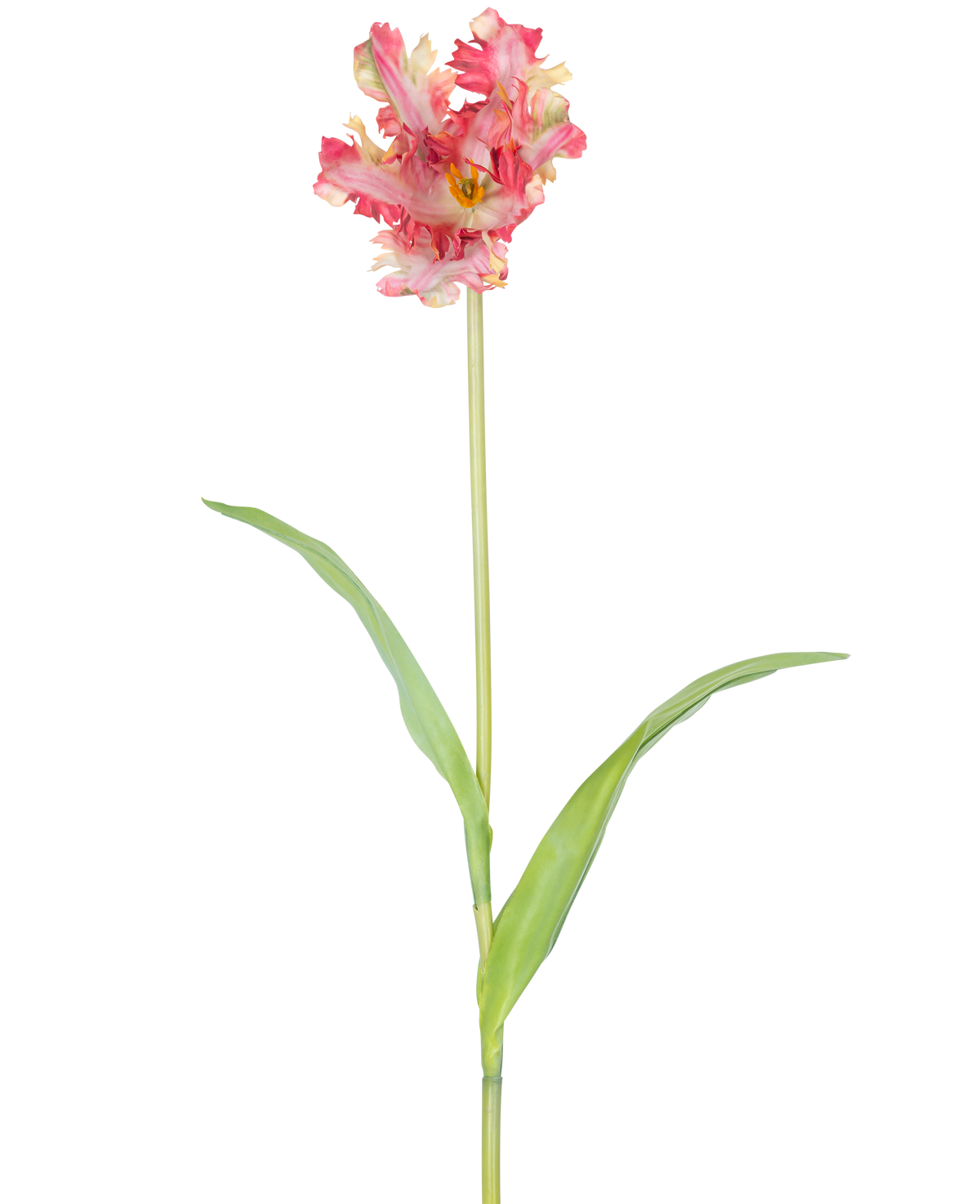 Une fleur artificielle tulipe perruche française de 76 cm en rouge/jaune avec des volants sur les pétales, une longue tige verte et deux feuilles vertes allongées, sur un fond blanc.