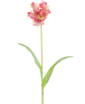 Une fleur artificielle tulipe perruche française de 76 cm en rouge/jaune avec des volants sur les pétales, une longue tige verte et deux feuilles vertes allongées, sur un fond blanc.