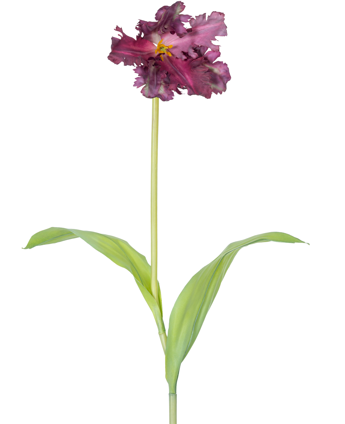 La Fleur Artificielle Tulipe Perruche Française 76 cm violette est une tulipe violette artificielle simple avec des volants dans les pétales et deux feuilles vertes allongées sur une longue tige, sur un fond blanc uni.