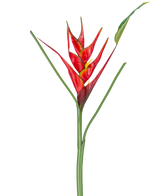 La fleur artificielle Heliconia 90 cm rouge présente une seule fleur artificielle Heliconia avec des bractées rouges et jaunes vibrantes sur une longue tige verte, complétée par des feuilles minces, parfaites pour être exposées sur un fond blanc.
