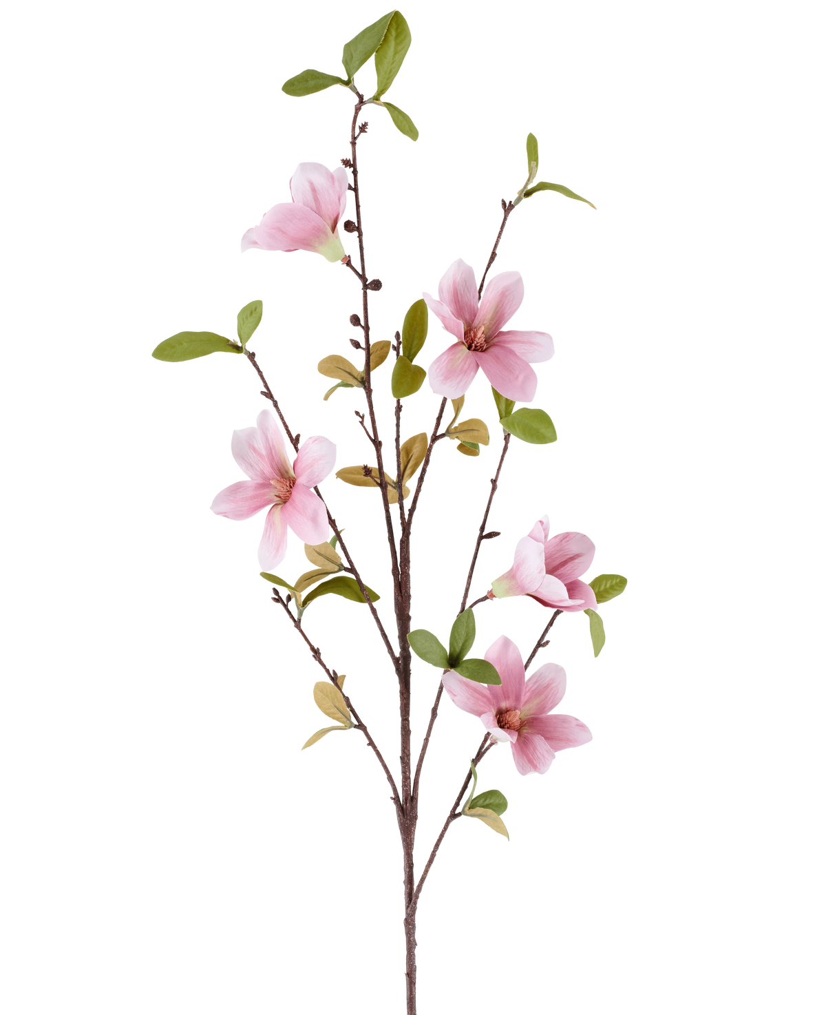 Une fine branche de Magnolia en Fleur Artificielle de 94 cm de vieux rose, avec plusieurs fleurs de magnolia roses et des feuilles vertes sur un fond blanc.