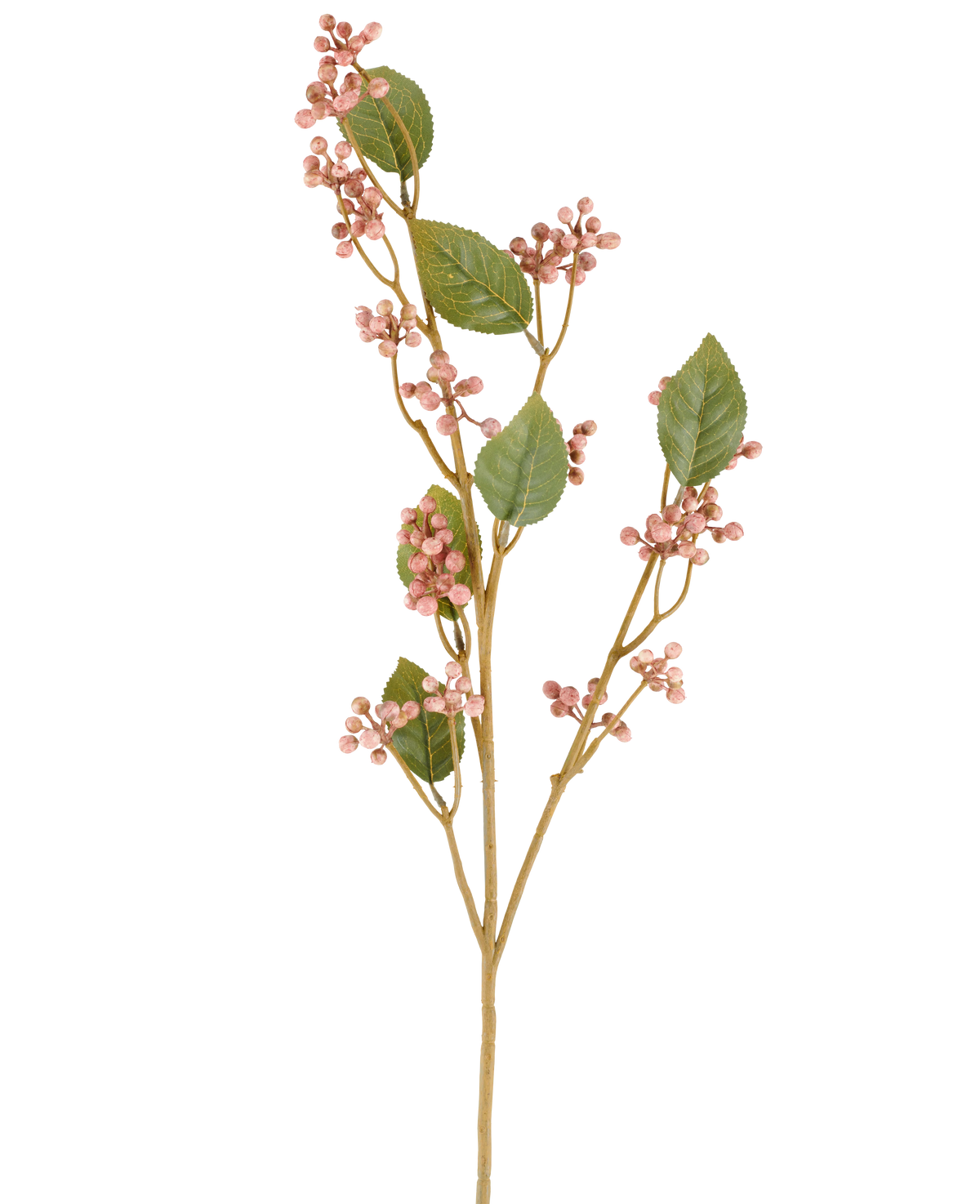 Une seule tige de fleur artificielle de Dewberry, de 78 cm de haut en vieux rose, avec des feuilles vertes et des grappes de petites baies rondes et roses sur de fines tiges brunes, représentées sur un fond blanc uni.
