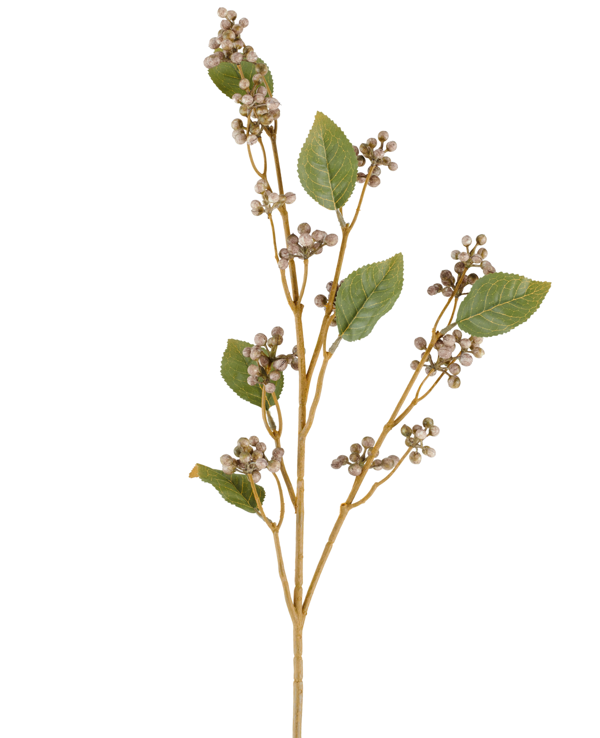 Une seule tige de la fleur artificielle Dewberry, de 78 cm de haut, avec plusieurs feuilles vertes et des grappes de petites baies rondes beiges sur de fines tiges brunes dans des tons gris et violets, sur fond blanc.