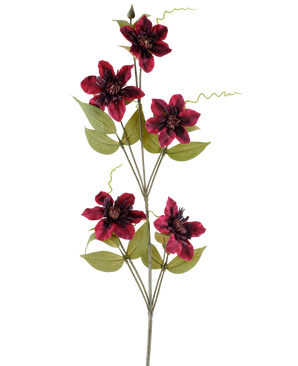 Une seule fleur artificielle Clematis 78 cm bordeaux, une tige artificielle, se compose de cinq fleurs de couleur bordeaux rouge foncé avec des centres sombres, entourées de feuilles vertes et de vrilles enroulées, sur un fond blanc uni.