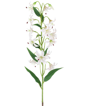 Une longue tige verte avec plusieurs lys artificiels crème et marron, chacun avec des feuilles vertes allongées, présentées sur un fond blanc — Fleur de Lys Artificielle 82 cm crème/marron.