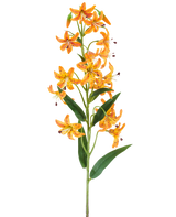 Une seule tige de fleur artificielle Magnolia, de 65 cm de long, dans des tons crème et marron avec un feuillage luxuriant, représentée sur un fond blanc.