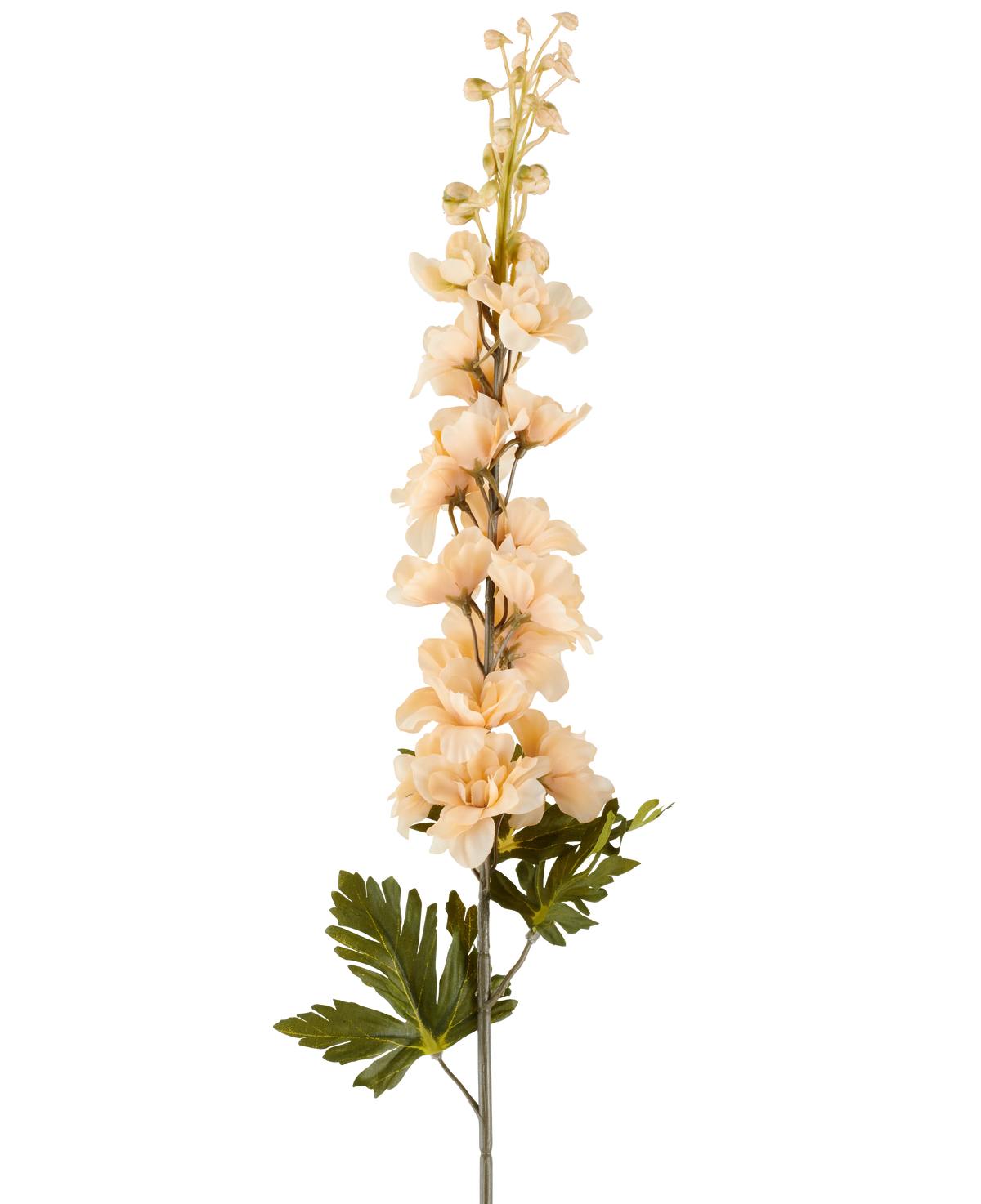 Une seule tige de fleur de Delphinium artificielle de 79 cm crème/marron, avec plusieurs fleurs de couleur crème et brunes et des feuilles vertes, représentées sur un fond blanc.