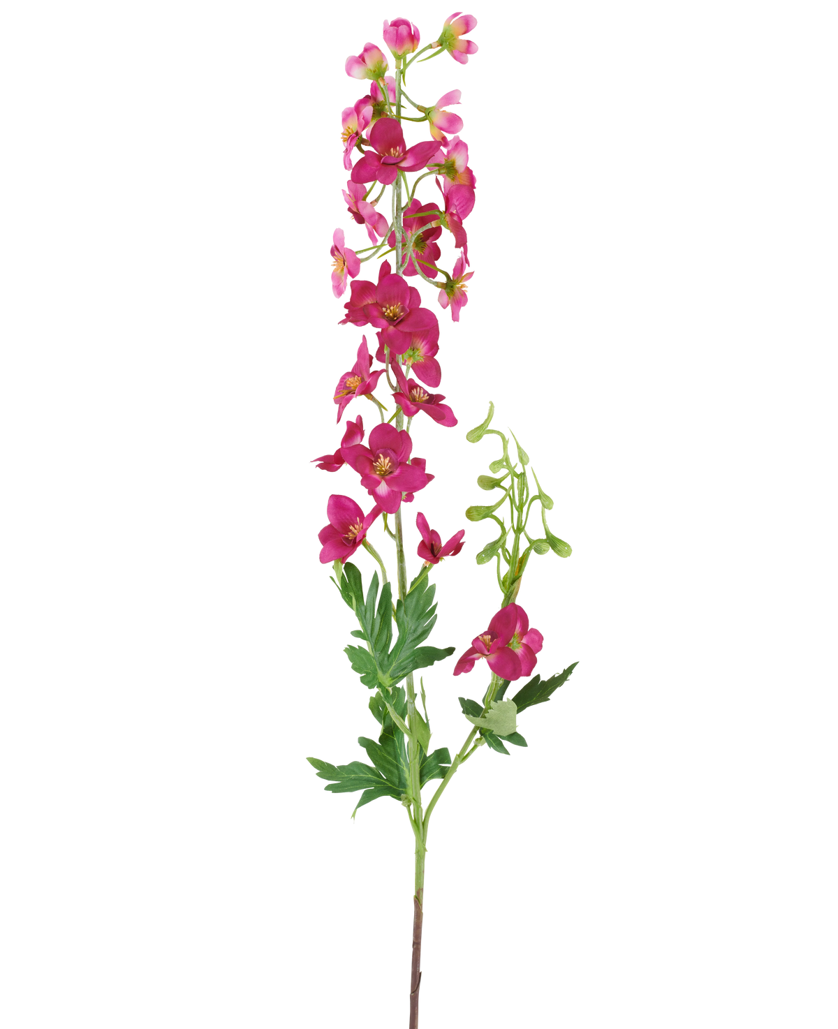 Une seule tige de la fleur artificielle Delphinium 79 cm rose foncé, avec des fleurs artificielles rose vif, des feuilles et des bourgeons verts, isolées sur un fond blanc.