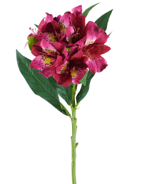 Une seule tige de fleur artificielle d'Alstroemeria mesurant 74 cm dans des tons rouges et violets, avec des fleurs réalistes et des feuilles vertes, isolées sur un fond blanc.