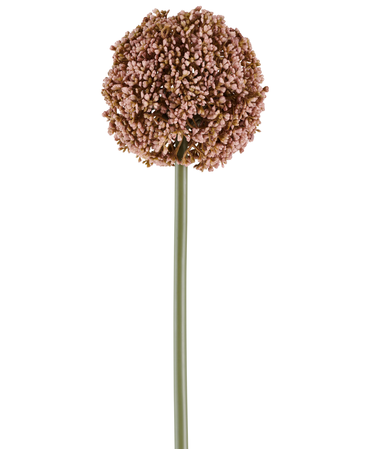 Une seule fleur artificielle Allium de 75 cm de couleur mauve, avec une longue tige verte et une grande grappe ronde de petits bourgeons mauves, représentée sur un fond blanc.
