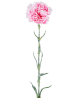Fleur artificielle : oeillet de 68 cm, rose, aux pétales roses ébouriffés sur une longue tige verte, isolé sur fond blanc.