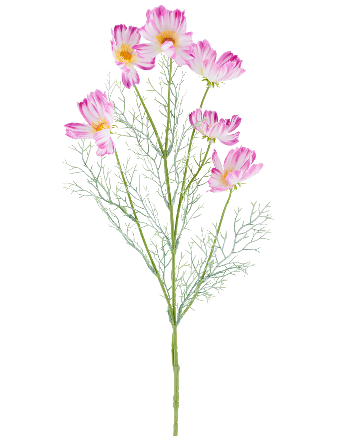 Une fleur artificielle Cosmo de 78 cm en crème/rose, avec plusieurs fleurs de cosmos rose clair et blanches et des feuilles vertes plumeuses, représentées sur un fond blanc uni.