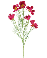 La fleur artificielle Cosmo 78 cm fuchsia se compose de fleurs cosmos de couleur fuchsia vibrante avec un centre jaune et de délicates feuilles vertes plumeuses, sur un fond blanc.