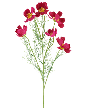 La fleur artificielle Cosmo 78 cm fuchsia se compose de fleurs cosmos de couleur fuchsia vibrante avec un centre jaune et de délicates feuilles vertes plumeuses, sur un fond blanc.