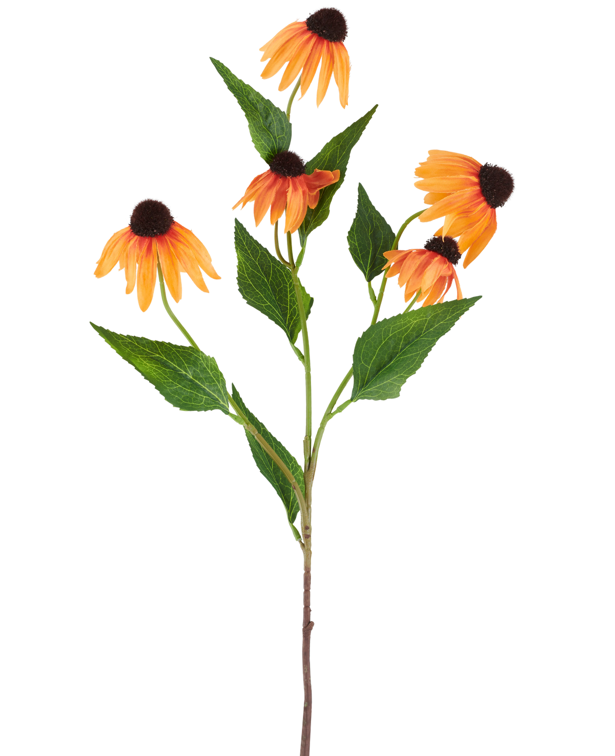 Une seule fleur artificielle d'échinacée de 75 cm, orange, avec cinq échinacées orange vif, chacune avec un centre brun foncé et entourées de feuilles vertes, sur un fond blanc uni.