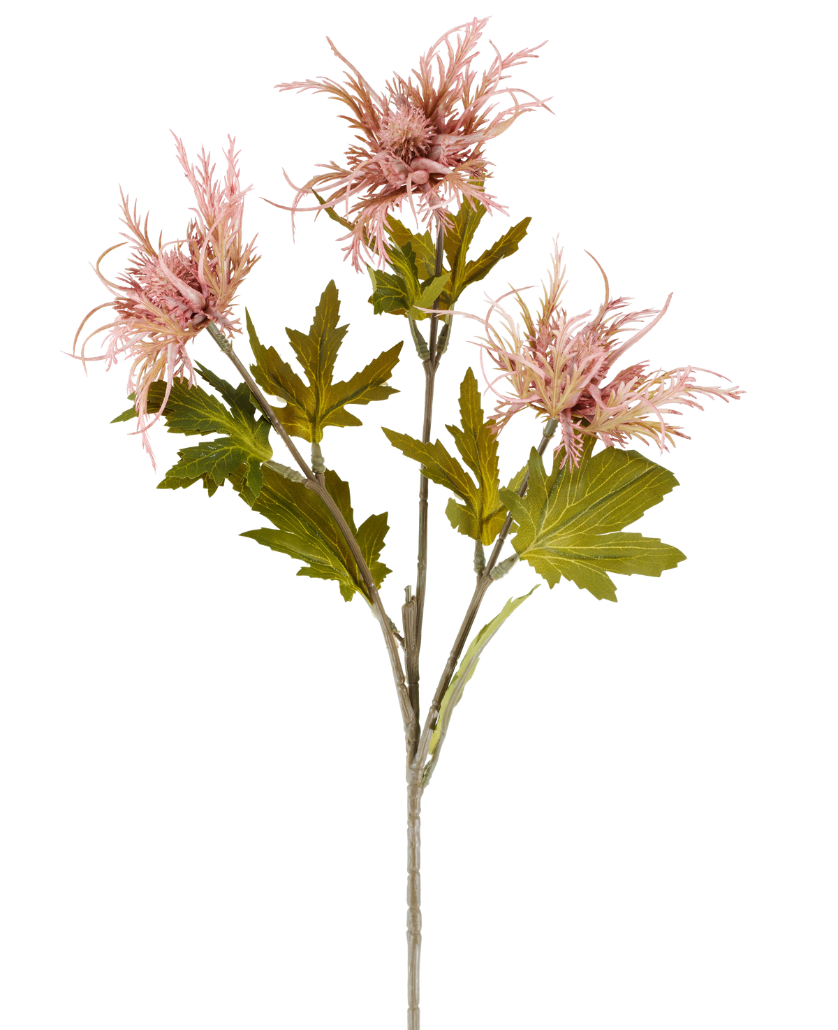 Une seule tige de fleur artificielle Armeria maritima, 67 cm vieux rose, avec plusieurs feuilles vertes et trois fleurs pointues vieux rose, représentée sur un fond blanc uni.