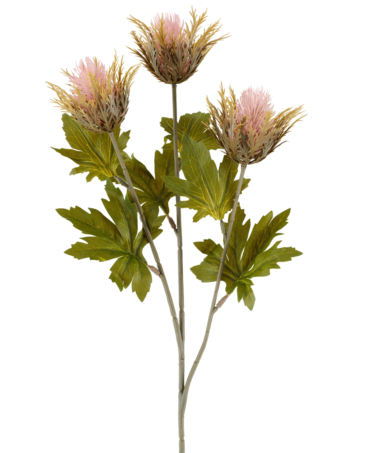 La fleur artificielle Chardon 67 cm vieux rose se compose de trois fleurs de chardon artificielles épineuses roses et dorées avec des feuilles vertes sur des tiges grises, représentées sur un fond blanc.