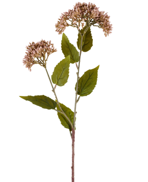 Une seule tige de fleur artificielle Sedum 67 cm mauve présente deux bouquets de petites fleurs mauve clair et de nombreuses feuilles vertes sur fond blanc.