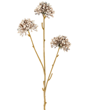 Trois tiges brunes de la fleur artificielle Mini Allium 60 cm crème/marron s'étendent vers le haut, chacune avec une grappe ronde de petits boutons subtils crème et marron à l'extrémité sur un fond blanc uni. L’ensemble semble minimaliste et naturel.
