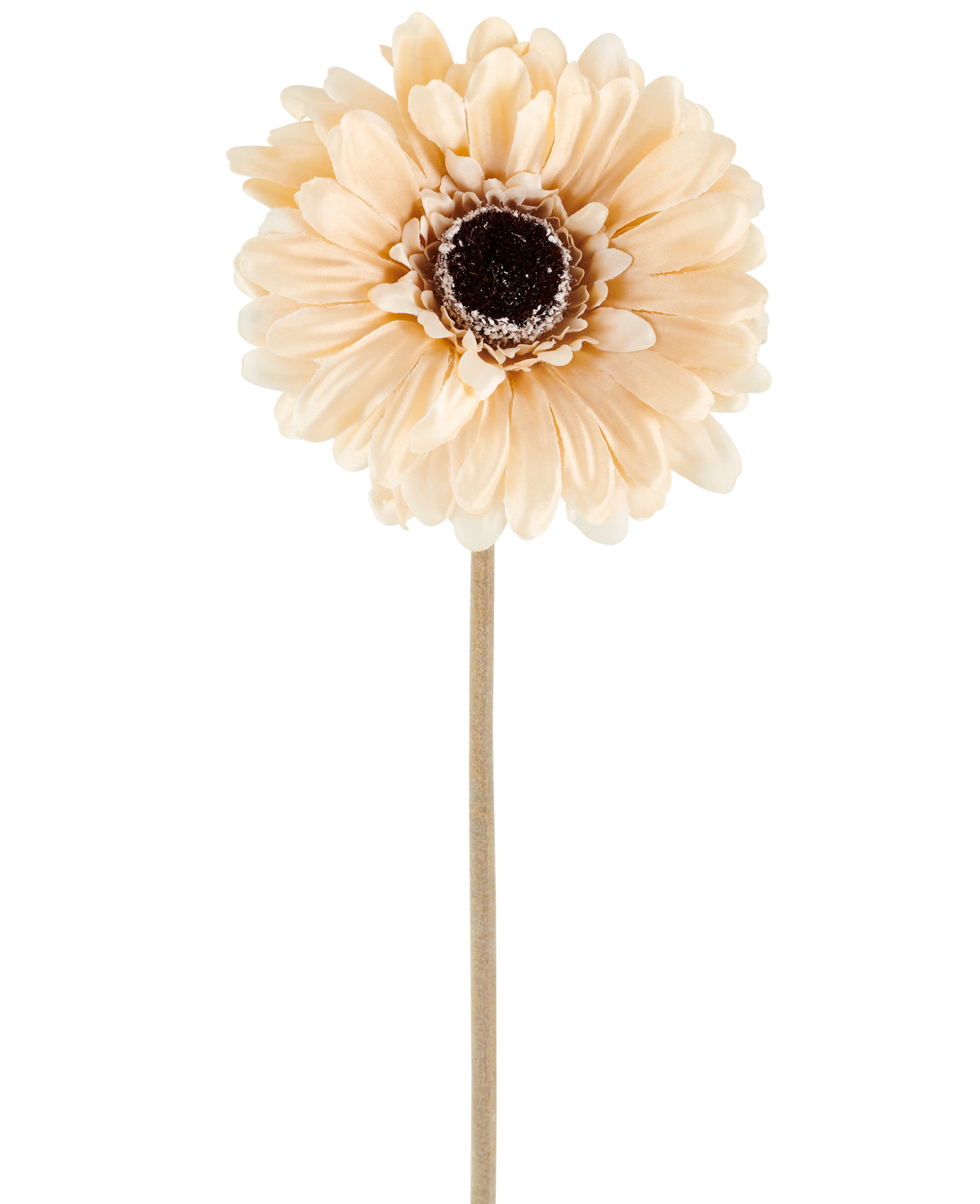 La fleur artificielle Gerbera 53 cm crème/marron se compose d'un seul gerbera artificiel de couleur pêche clair avec des pétales superposés et un cœur marron foncé sur une tige longue et mince, représenté sur un fond blanc uni.
