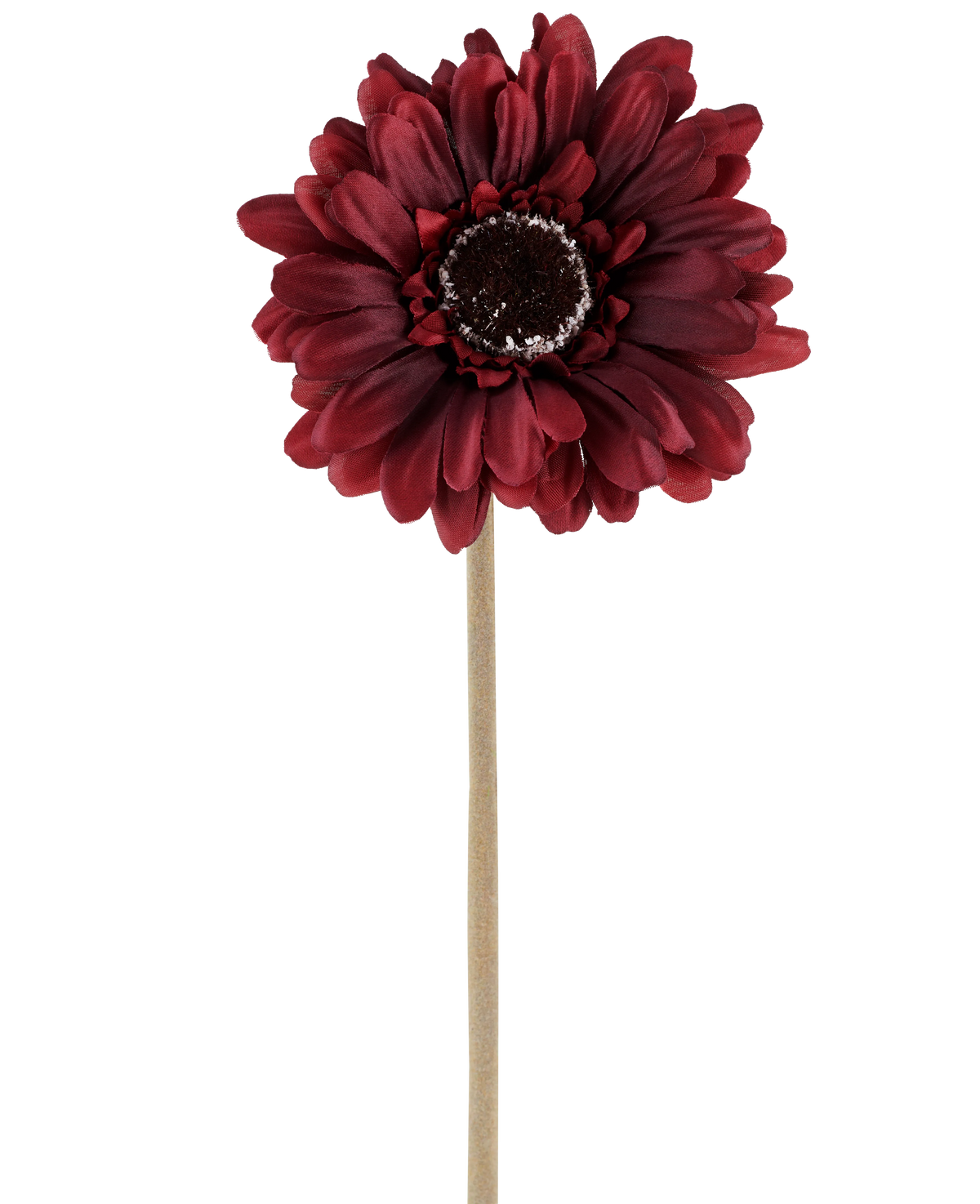 La fleur artificielle Gerbera 53 cm bordeaux se compose d'un gerbera artificiel d'une riche teinte rouge foncé avec des pétales superposés et un cœur marron, attaché à une longue tige droite de couleur claire et présenté sur un fond blanc uni.