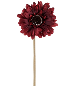 La fleur artificielle Gerbera 53 cm bordeaux se compose d'un gerbera artificiel d'une riche teinte rouge foncé avec des pétales superposés et un cœur marron, attaché à une longue tige droite de couleur claire et présenté sur un fond blanc uni.
