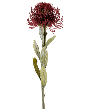 Une seule fleur artificielle Protea de 60 cm de couleur bordeaux a une fleur épineuse rouge foncé avec des feuilles vertes, photographiée sur un fond blanc.