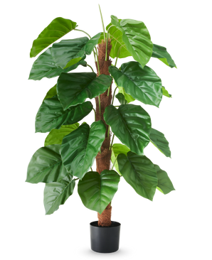 Une plante artificielle Epipremnum aureum, de 120 cm de haut, avec de grandes feuilles vertes brillantes dans un pot noir, représentée sur un fond blanc uni.