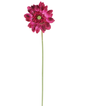 Une seule fleur artificielle Mini Gerbera de 47 cm de couleur rose foncé avec des pétales superposés et un cœur vert sur une longue et mince tige verte, isolée sur un fond blanc.