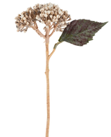 Une fleur artificielle : hortensia séché de 38 cm de couleur crème/marron, avec des grappes de boutons beiges et une feuille dentée vert foncé sur fond blanc.